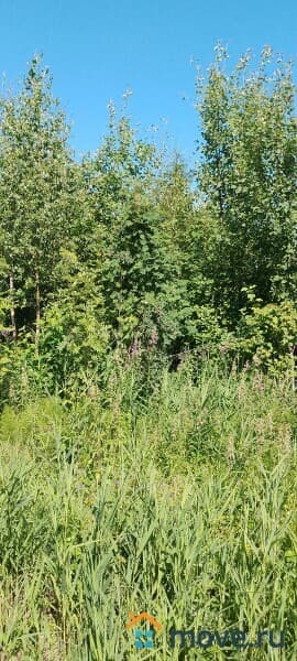 земля с/х назначения, 6 соток