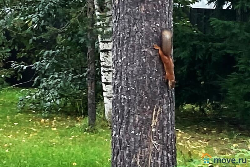 коттедж, 190 м&sup2;