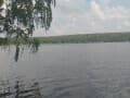 Продаю земельный участок, 12.5 га. Фото 5