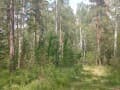 Продаю земельный участок, 12.5 га. Фото 11
