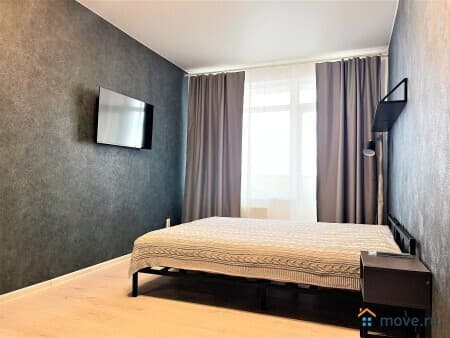 Аренда 1-комнатных апартаментов на сутки, 47 м&sup2;, Воронеж, улица Ленина, 43