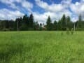Объявление о продаже земельного участка, 10 соток. Фото 4