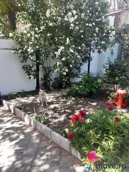 2-комн. квартира, 43 м&sup2;