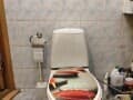 Сдается в аренду двухкомнатная квартира, 45 м², этаж 2 из 5. Фото 10