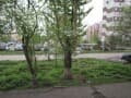 3-комн. квартира, 71.1 м²
