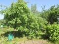 Продажа дачи, 40 м². Фото 16