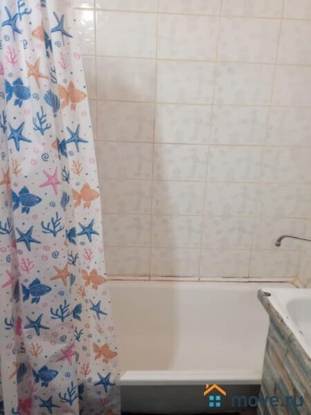 студия, 17.8 м²