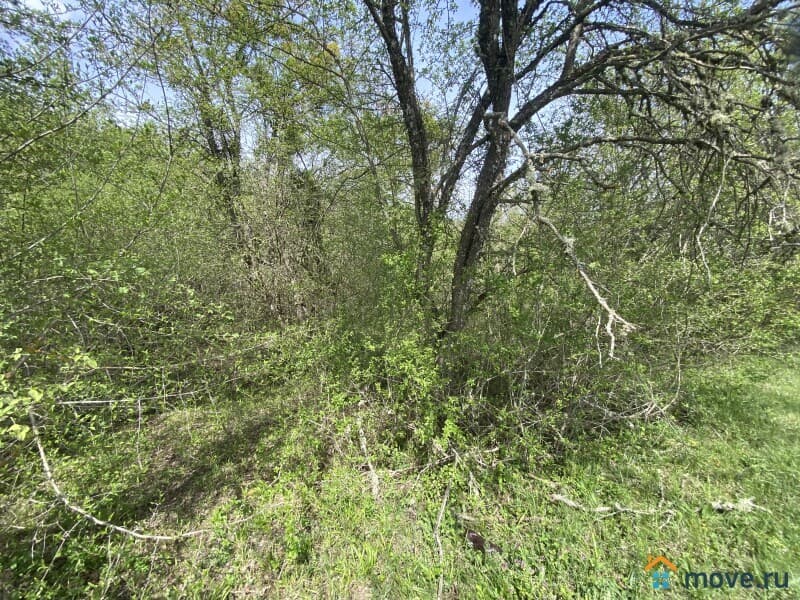 земля под ИЖС, 10 соток