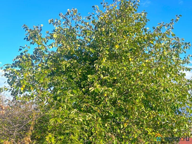 земельный участок, 21 сотка