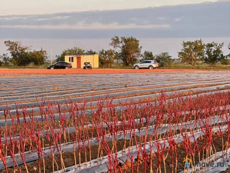 Продам землю с/х назначения, 2.8 га, Бахчисарай, с. песчаное