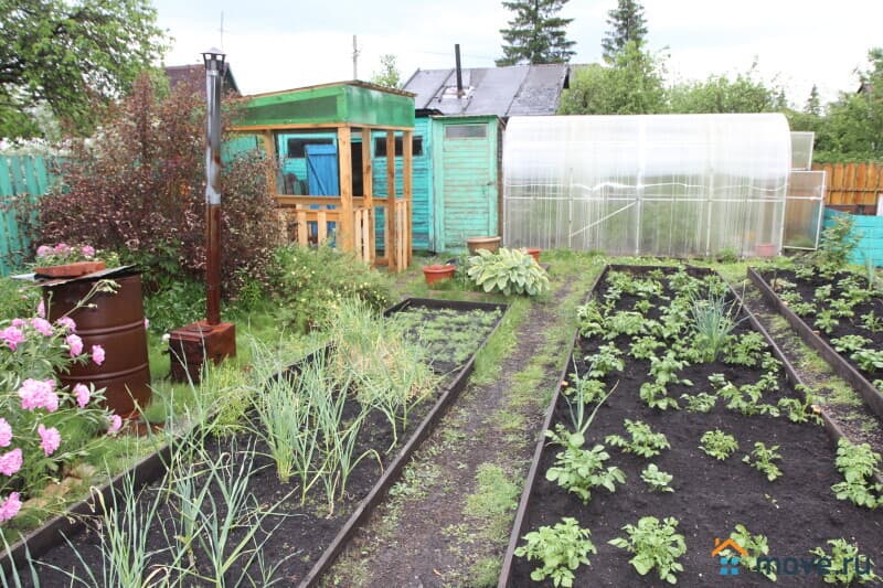 дача, 30 м&sup2;