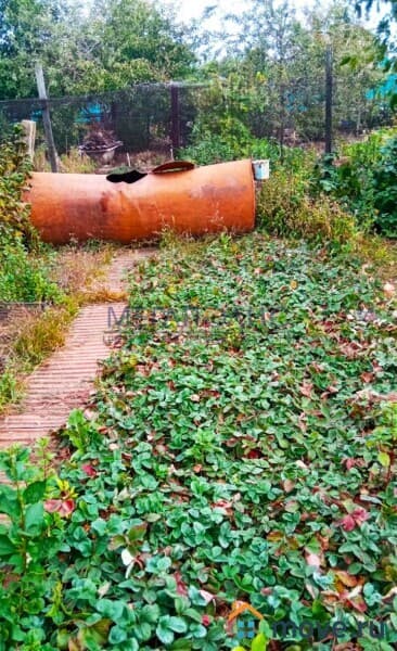 дача, 14 м&sup2;