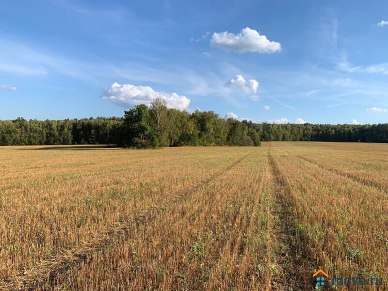 земельный участок, 21 га