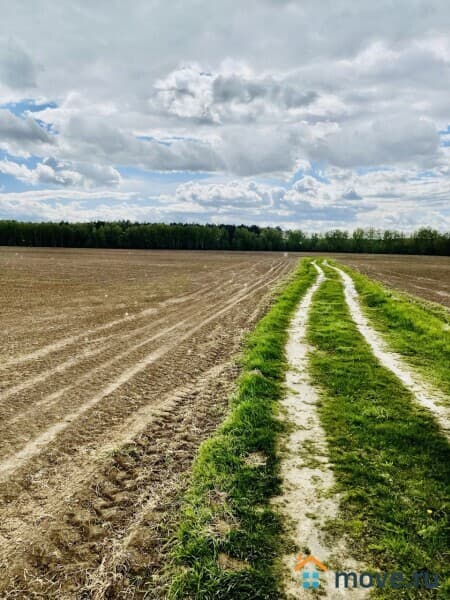 земельный участок, 21 га