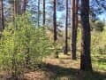Продать коммерческий участок, 0.56 га. Фото 2