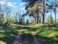 Продать коммерческий участок, 0.56 га. Фото 5