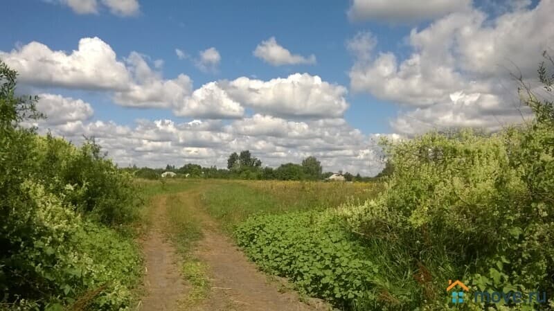 земля с/х назначения, 54.11 га