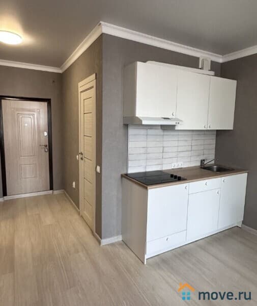 1-комн. квартира, 24.5 м²
