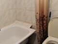 студия, 18 м²