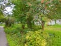 3-комн. квартира, 85 м²