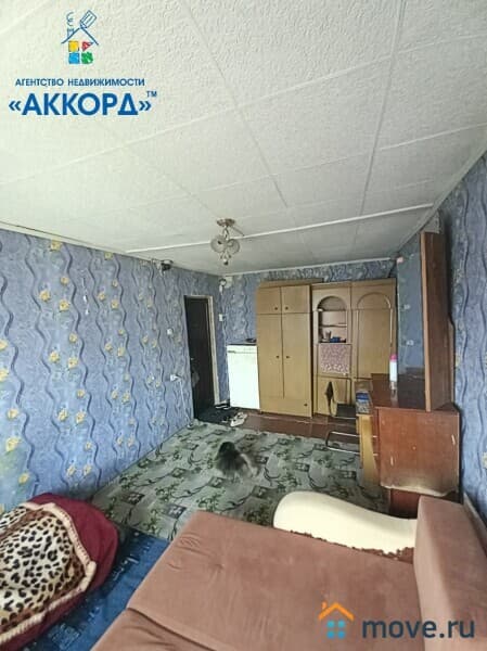 комната, 17.2 м²