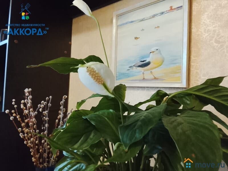 2-комн. квартира, 51.4 м²