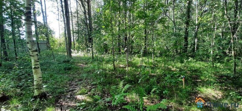 земля под ИЖС, 20 соток