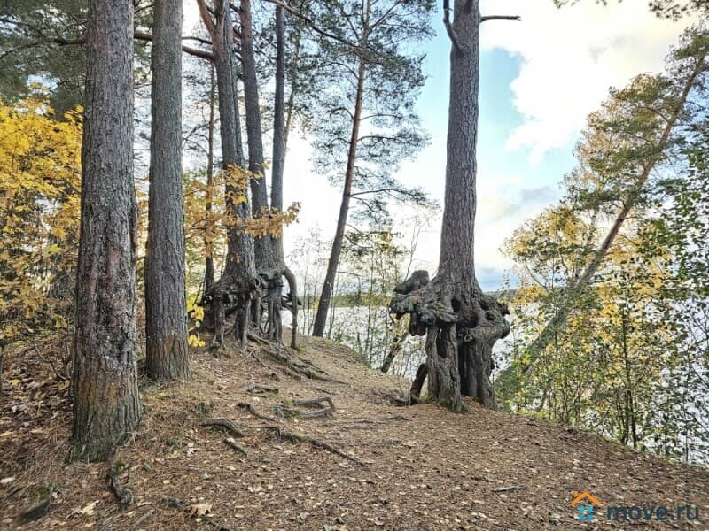 земля под ИЖС, 32 сотки