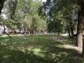 3-комн. квартира, 55 м²