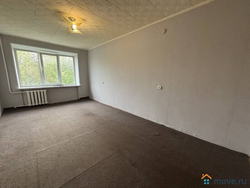 комната, 31 м²