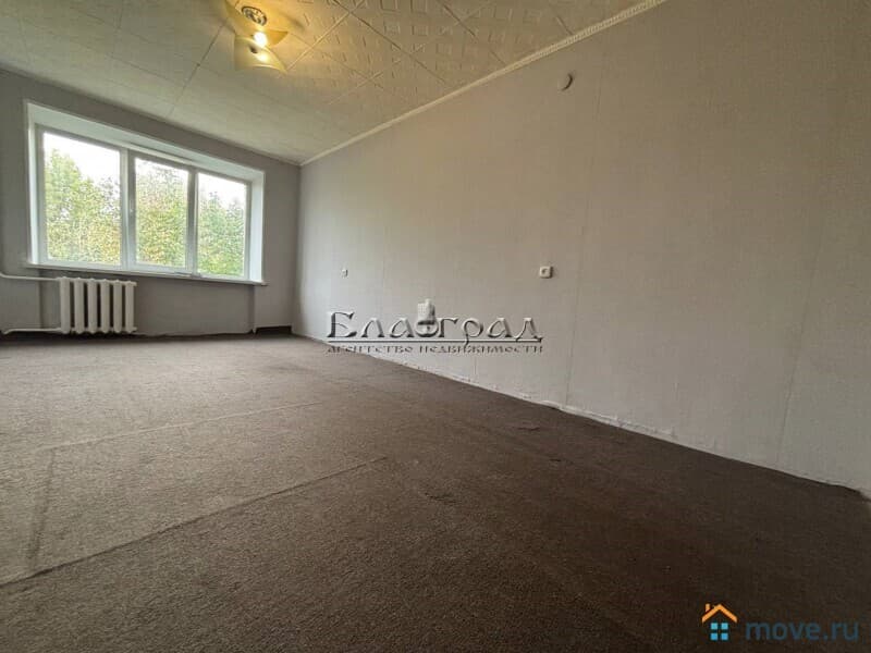 комната, 31 м²