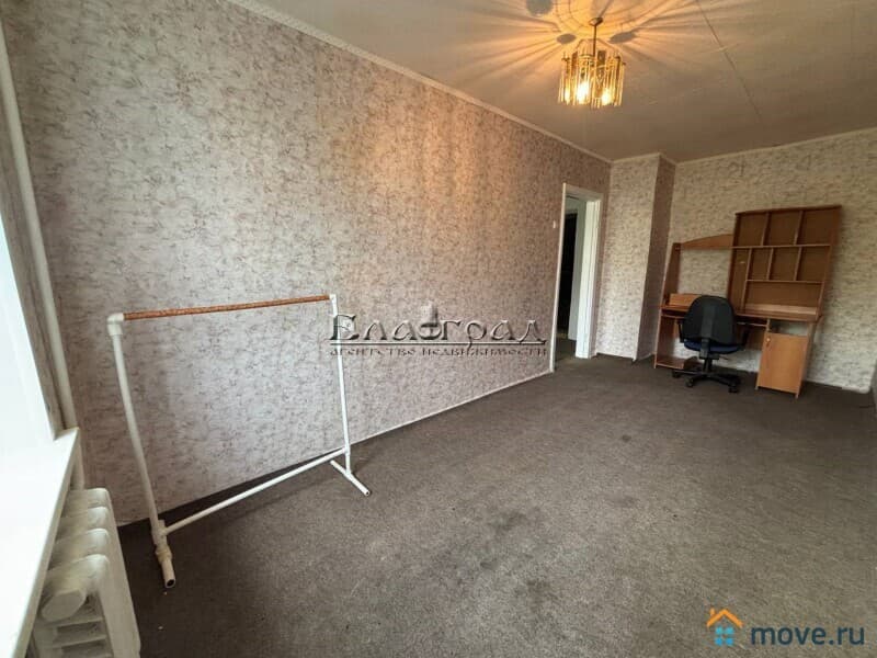 комната, 31 м²