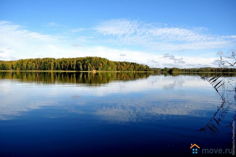 земля с/х назначения, 65.1 га