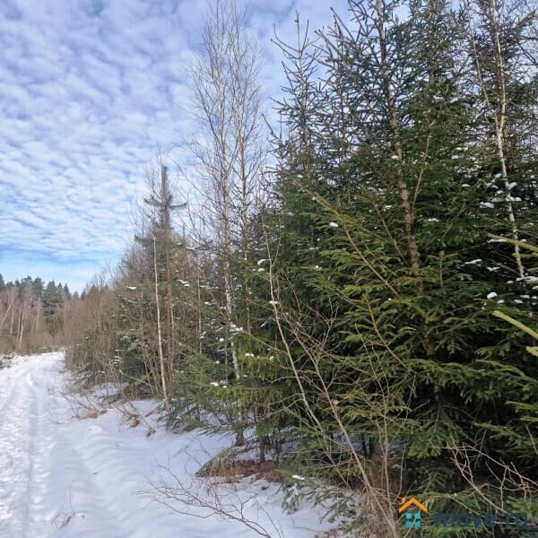 земля под ИЖС, 6 соток