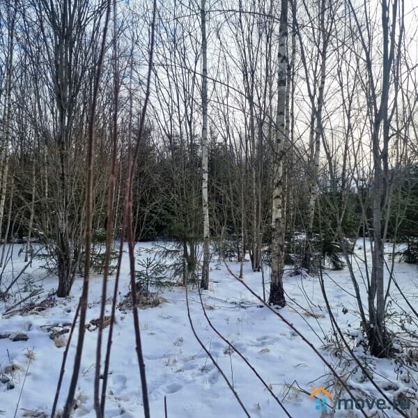 земля под ИЖС, 6 соток