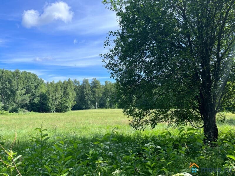 земельный участок, 8 га