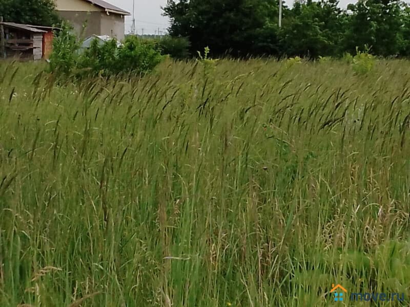 земля под ИЖС, 10 соток