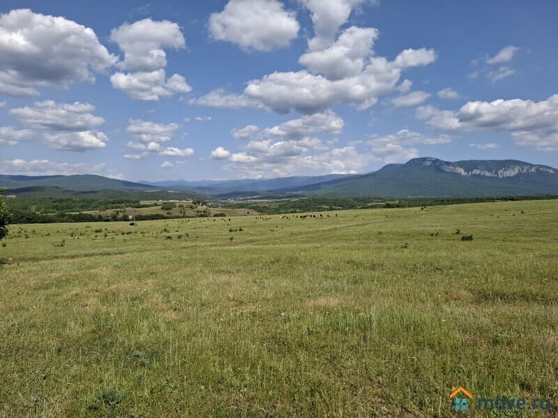 земля с/х назначения, 50 соток