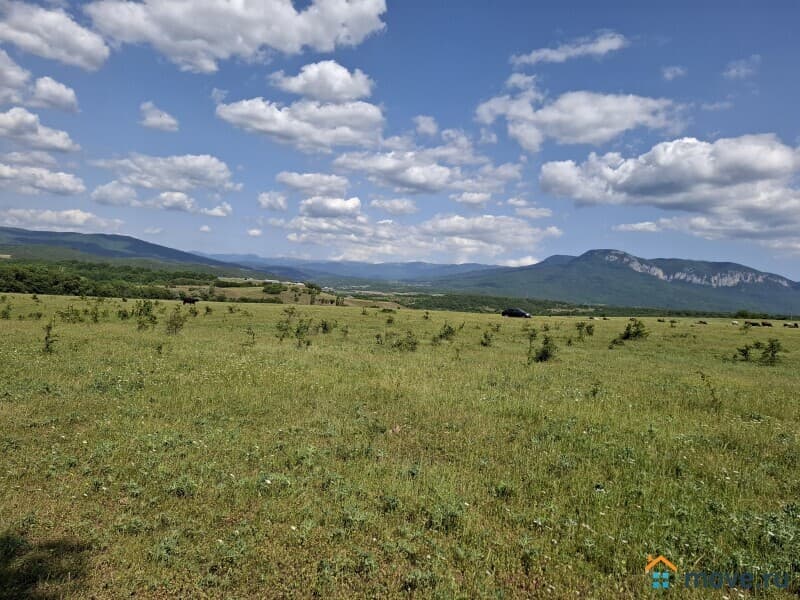 земля с/х назначения, 50 соток