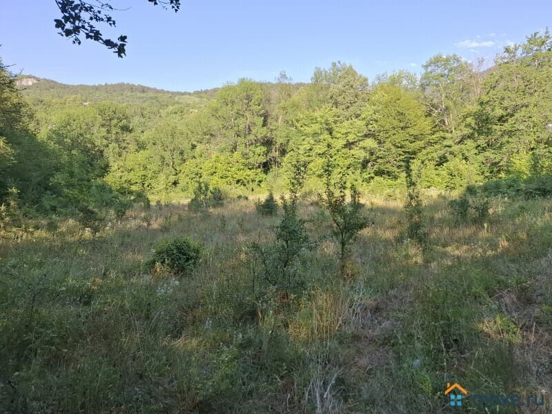 земля с/х назначения, 17.27 сотки