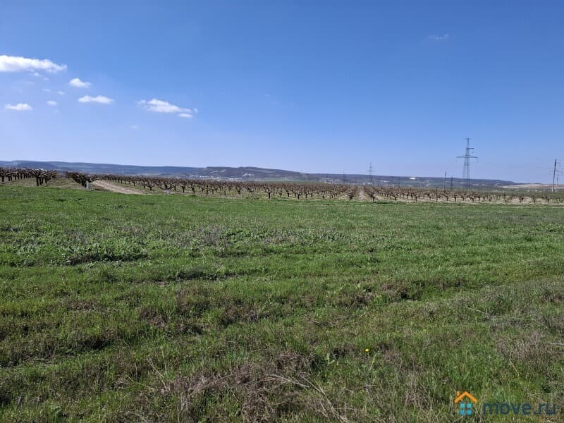 земля с/х назначения, 0.8 га