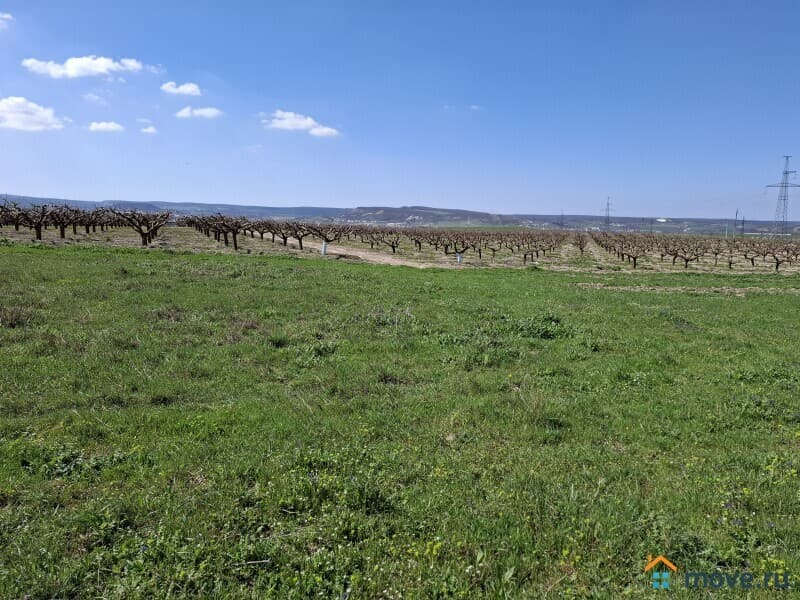 земля с/х назначения, 0.8 га