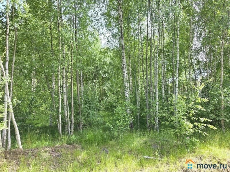 земля с/х назначения, 15 соток