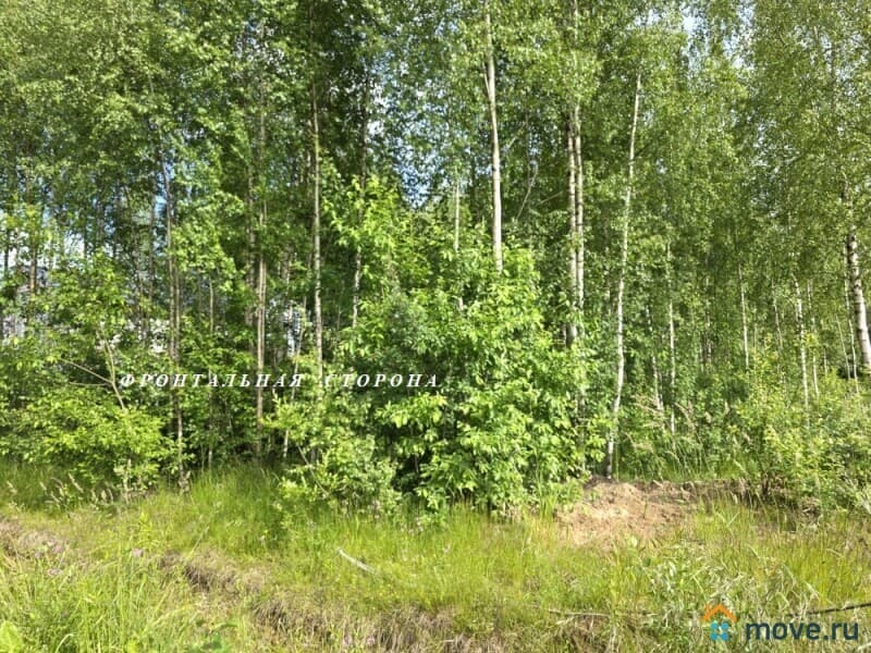 земля с/х назначения, 15 соток