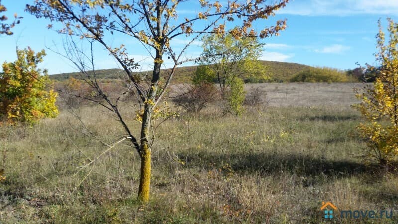 земля с/х назначения, 13 га