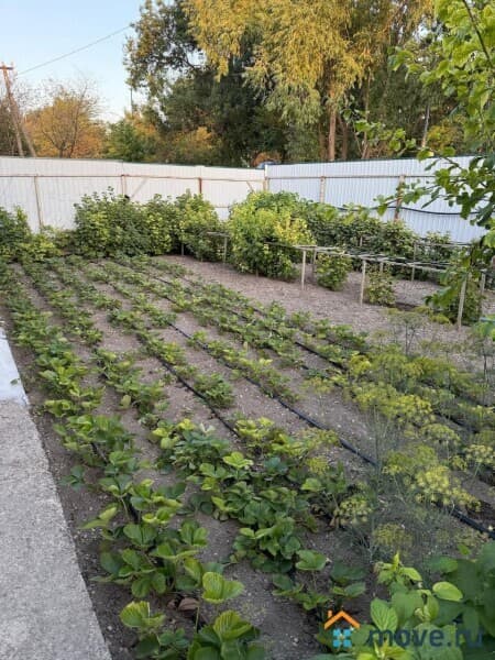 дом, 81.3 м&sup2;