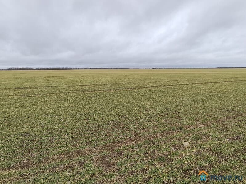 земля с/х назначения, 101.48 га