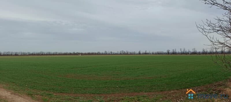 земельный участок, 10.01 га