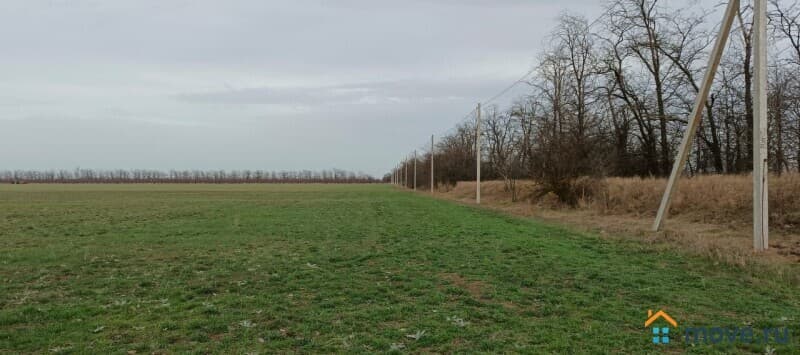 земельный участок, 10.01 га