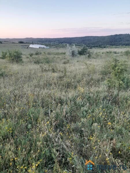 земля с/х назначения, 16000 га